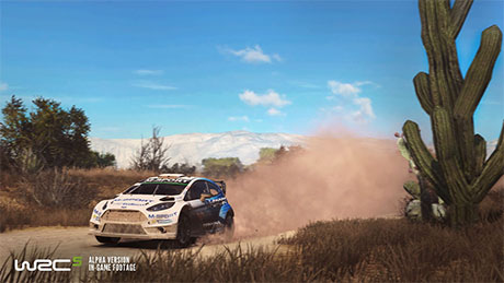 WRC 5 #3
