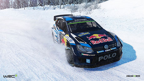 WRC 5 #4