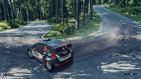 WRC 5 #5