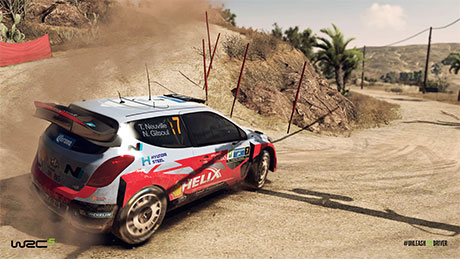 WRC 5 #6