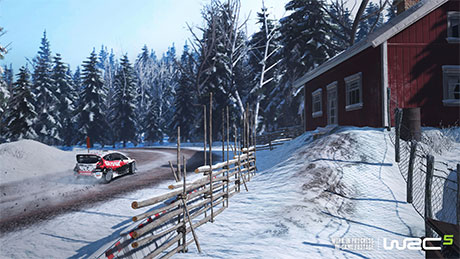 WRC 5 #7