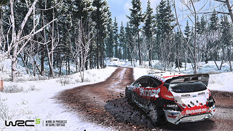 WRC 5 #8
