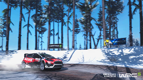 WRC 5 #9