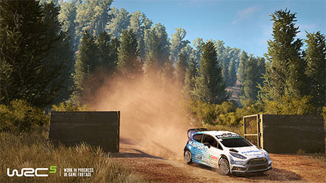 WRC 5 #10