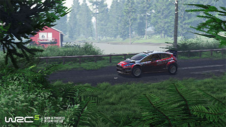 WRC 5 #11